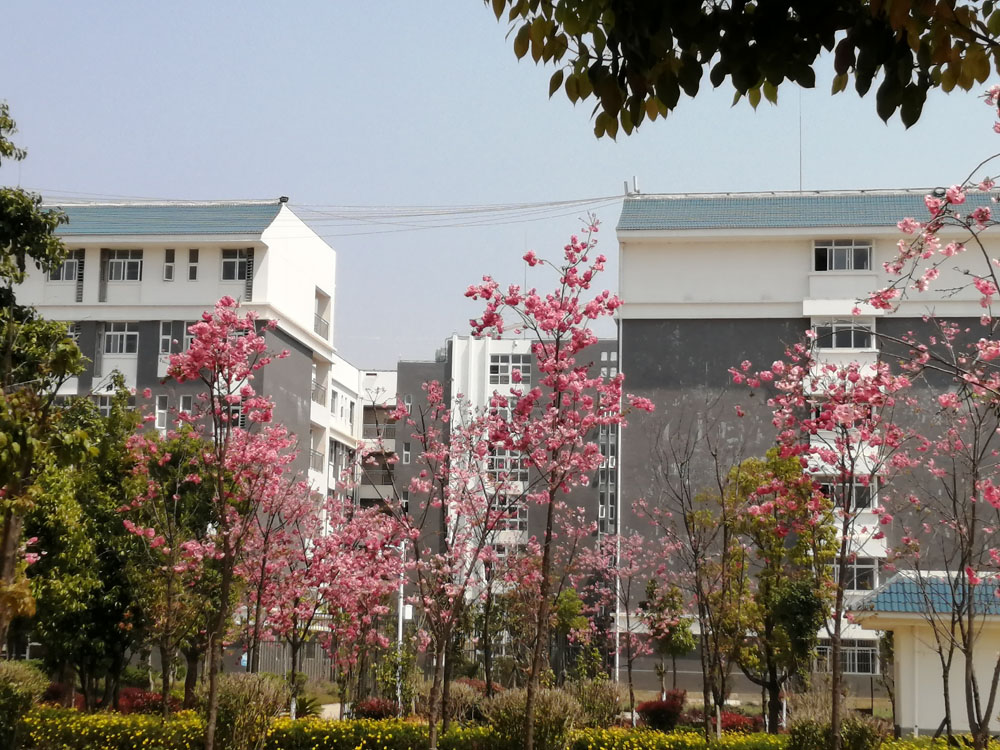 保山中等專業(yè)學校新校區(qū)(保山高級技工學校）